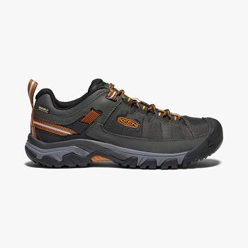 KEEN Targhee EXP Waterproof - Tmavo Siva Turistické Topánky Panske, K0202SK